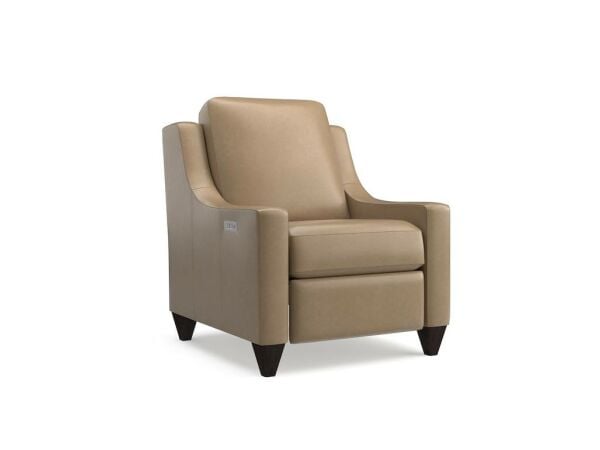 Magnificent Motion Reclining Leather Chair Recliners