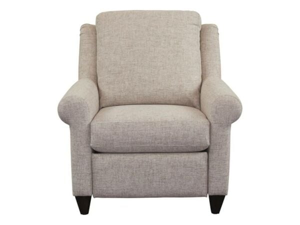 Magnificent Motion Power Recliner Recliners