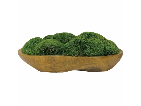 Kinsale Moss Centerpiece Accents Uttermost