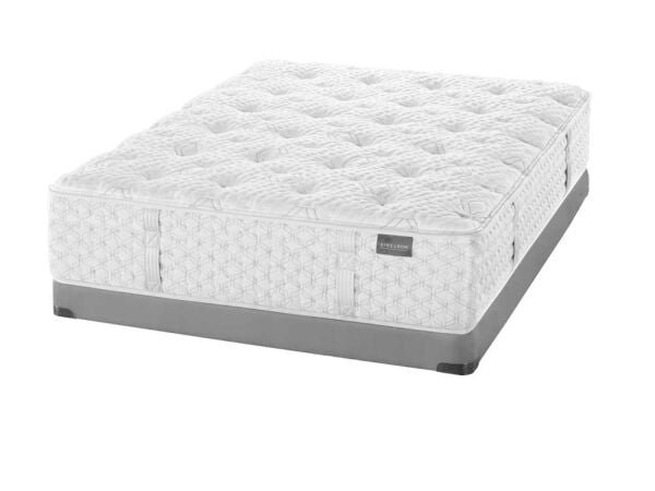 Timeless Odyssey Streamline M1 Plush Plush Aireloom